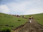 若草山遠足（年長・年中）　