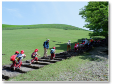 5月：若草山遠足
年長・年中組で若草山に行きました。

